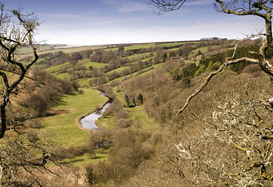 View overlooking river Barle